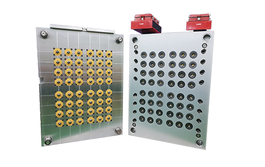 PET INSERT MOLD
