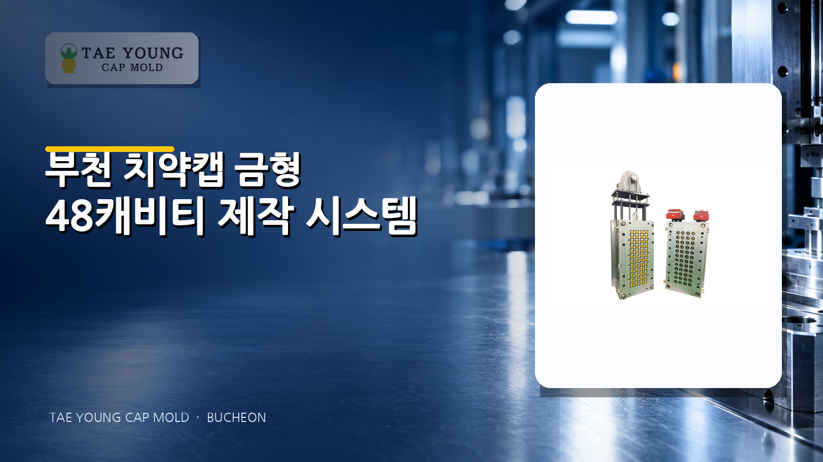 태영공업사 부천 치약캡 금형 48캐비티 제작 시스템